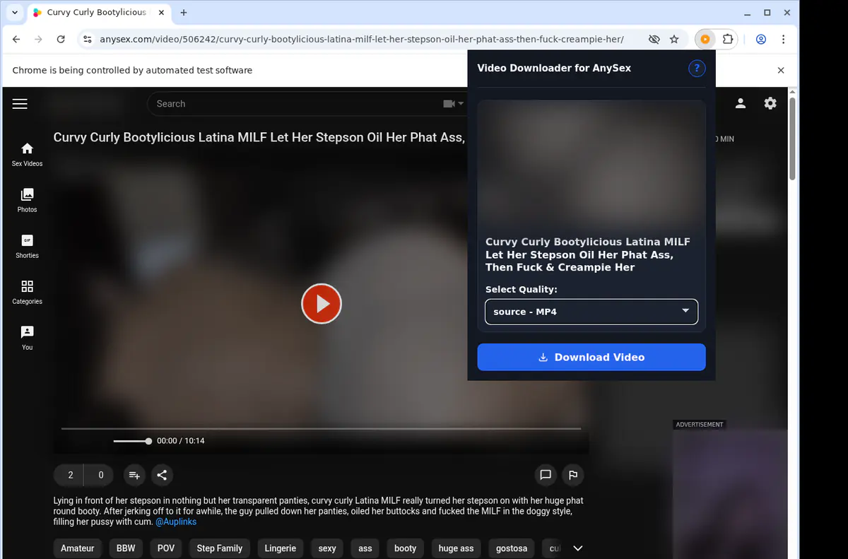 Anysex Video Downloader browser extension screenshot 4